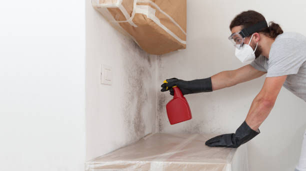 Professional Commercial Mold Remediation technician working in Bayonne, NJ