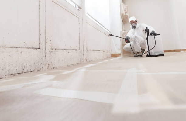 24/7 Emergency Commercial Mold Remediation experts in Bayonne, NJ