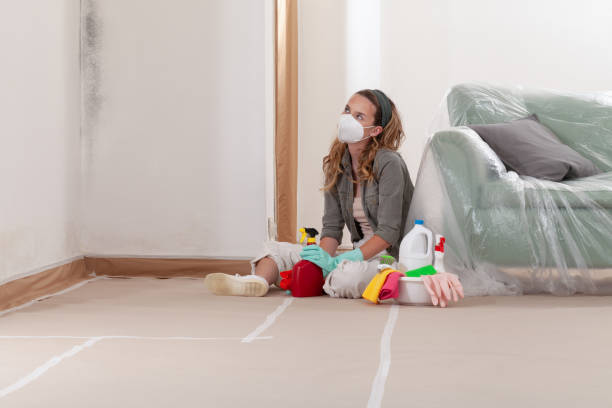 Reliable Commercial Mold Remediation contractor in Bayonne, NJ by Car Mold Remediation