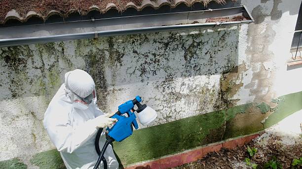 Top rated local Commercial Mold Remediation specialists in Bayonne, NJ